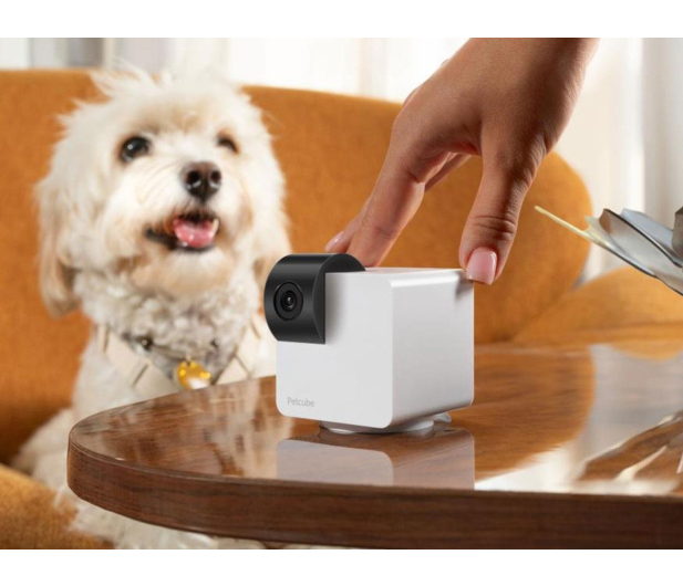 Petcube Interaktywna Inteligentna kamera Cam 360 - 1308535 - zdjęcie 5